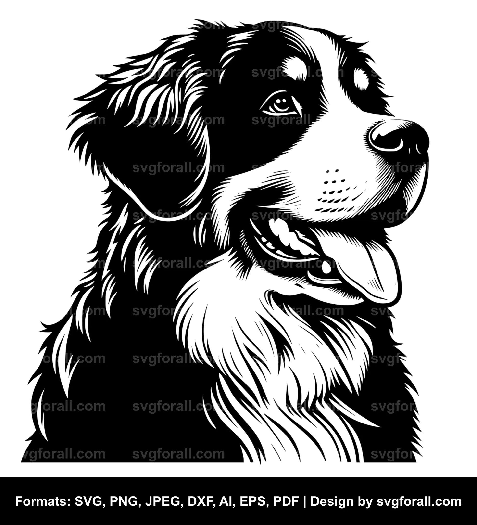 Bernese Mountain Dog Vector SVG