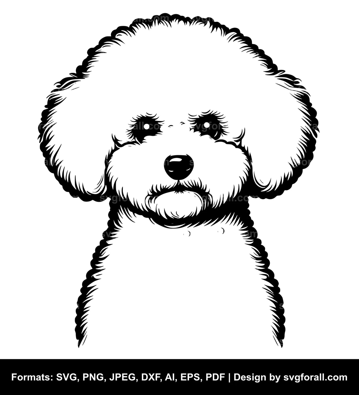 Bichon Frise Dog SVG Design