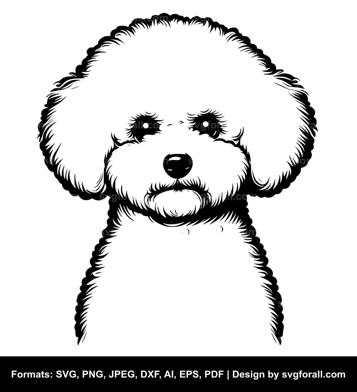 Bichon Frise Dog SVG Design