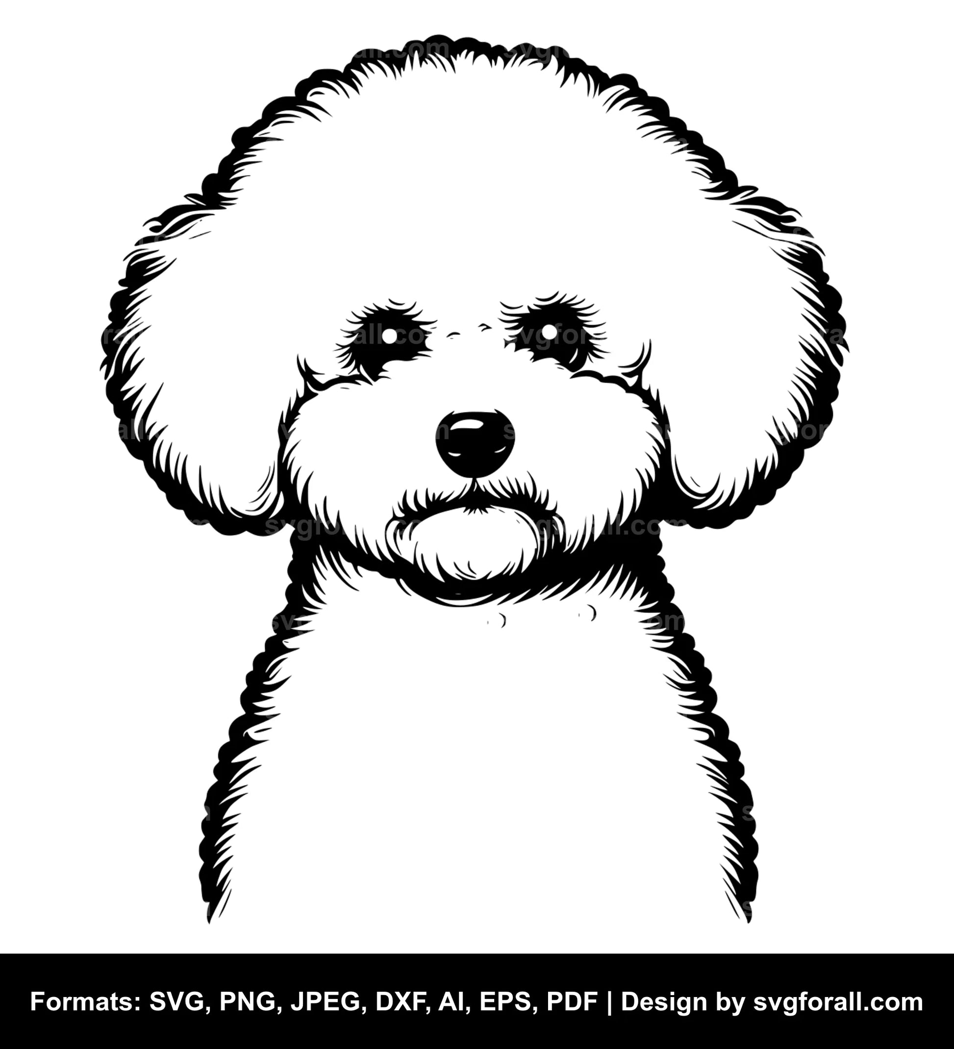 Bichon Frise Dog SVG Design