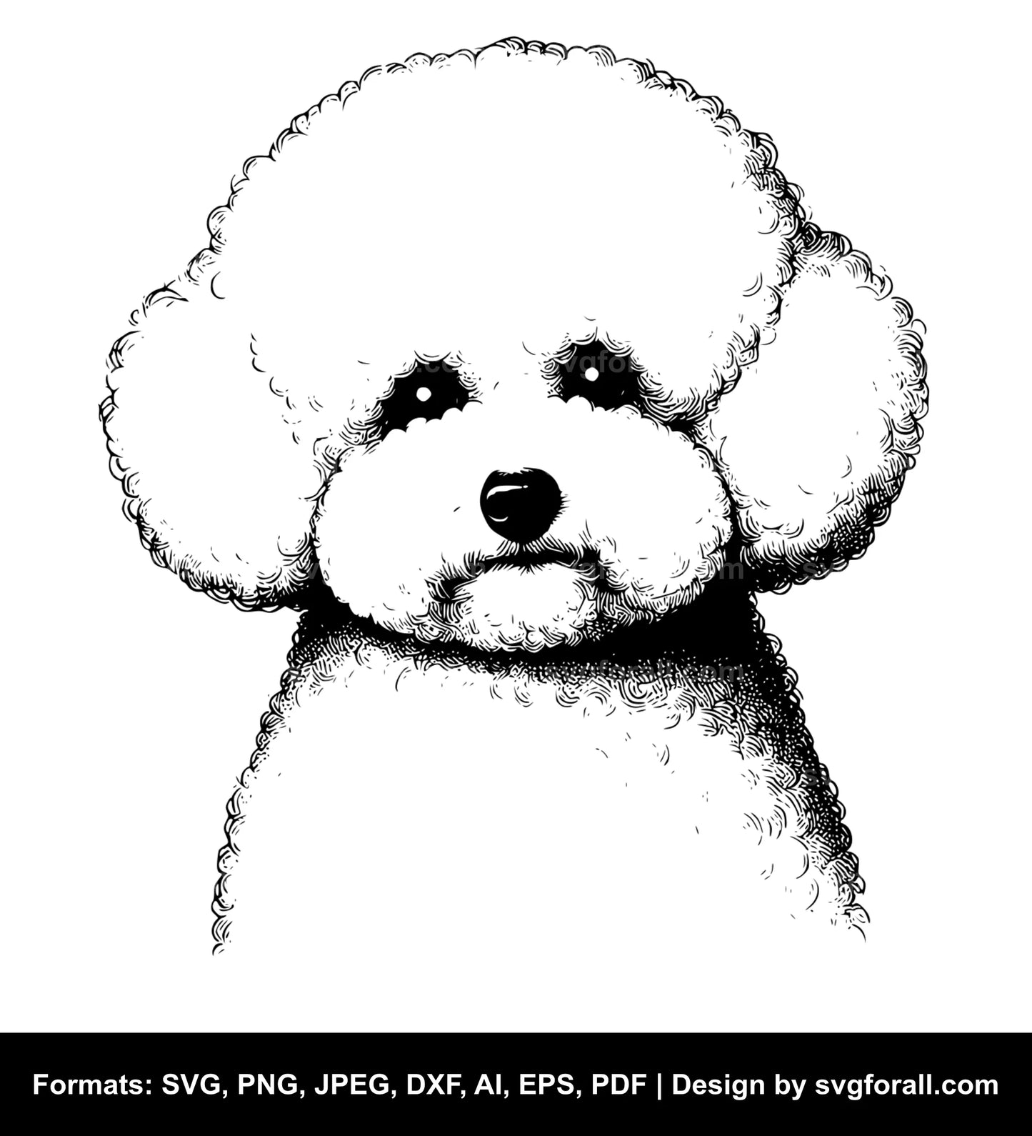 Bichon Frise Dog SVG PNG