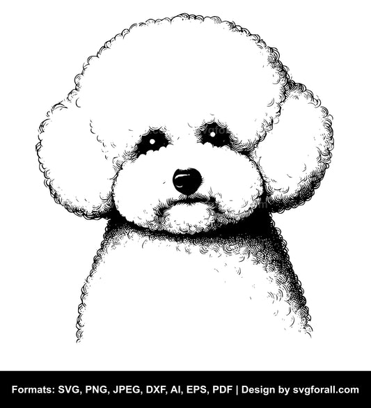 Bichon Frise Dog SVG PNG