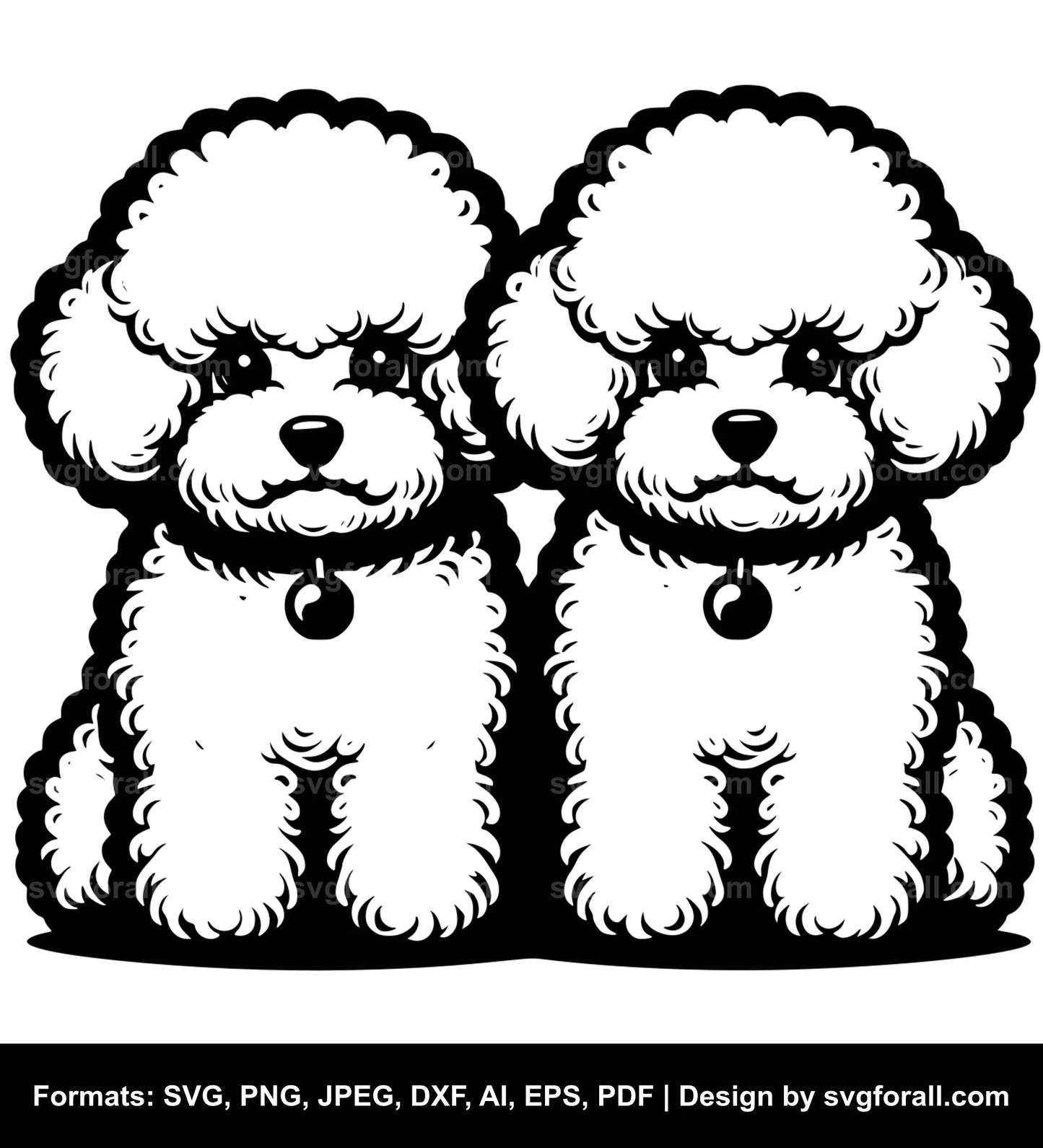 Bichon Frise Dog SVG Vector