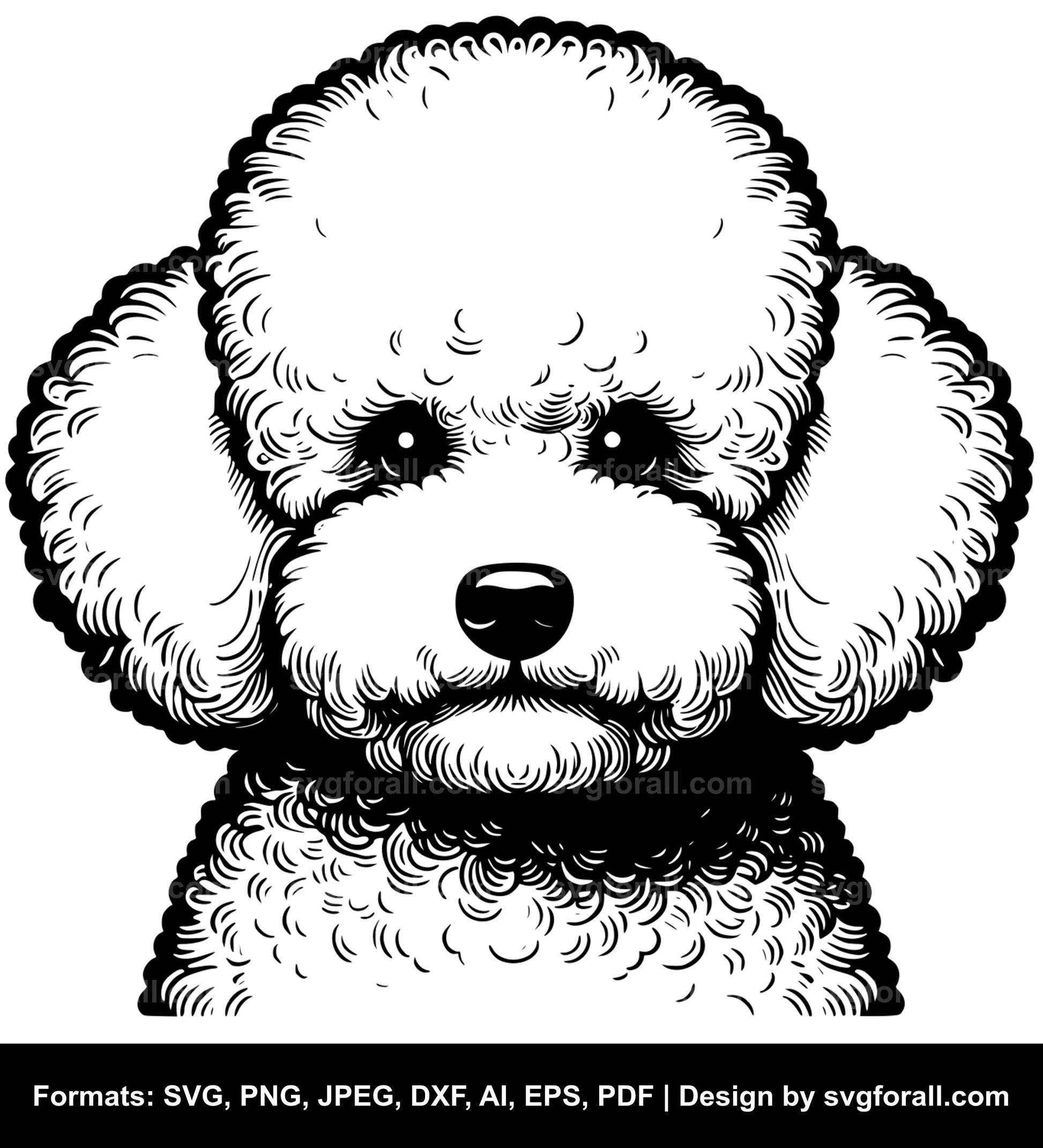 Bichon Frise Dog Vector SVG