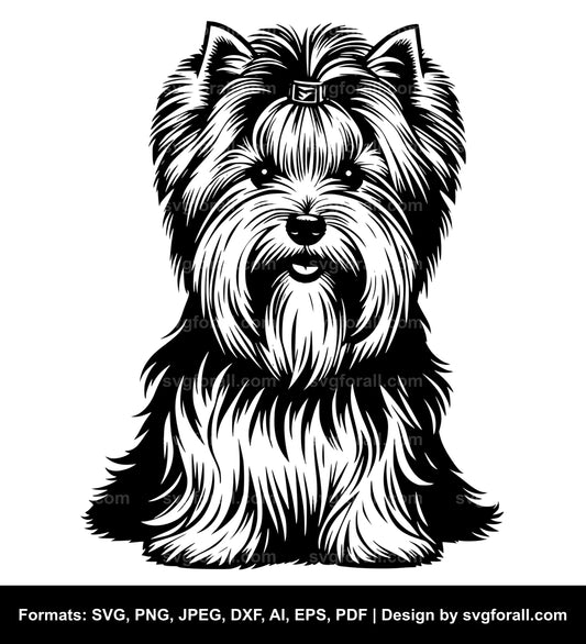 Biewer Terrier Dog Black SVG