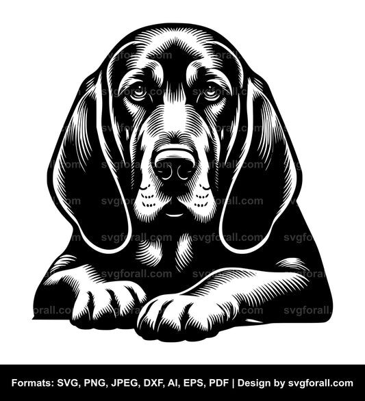 Bloodhound Dog SVG