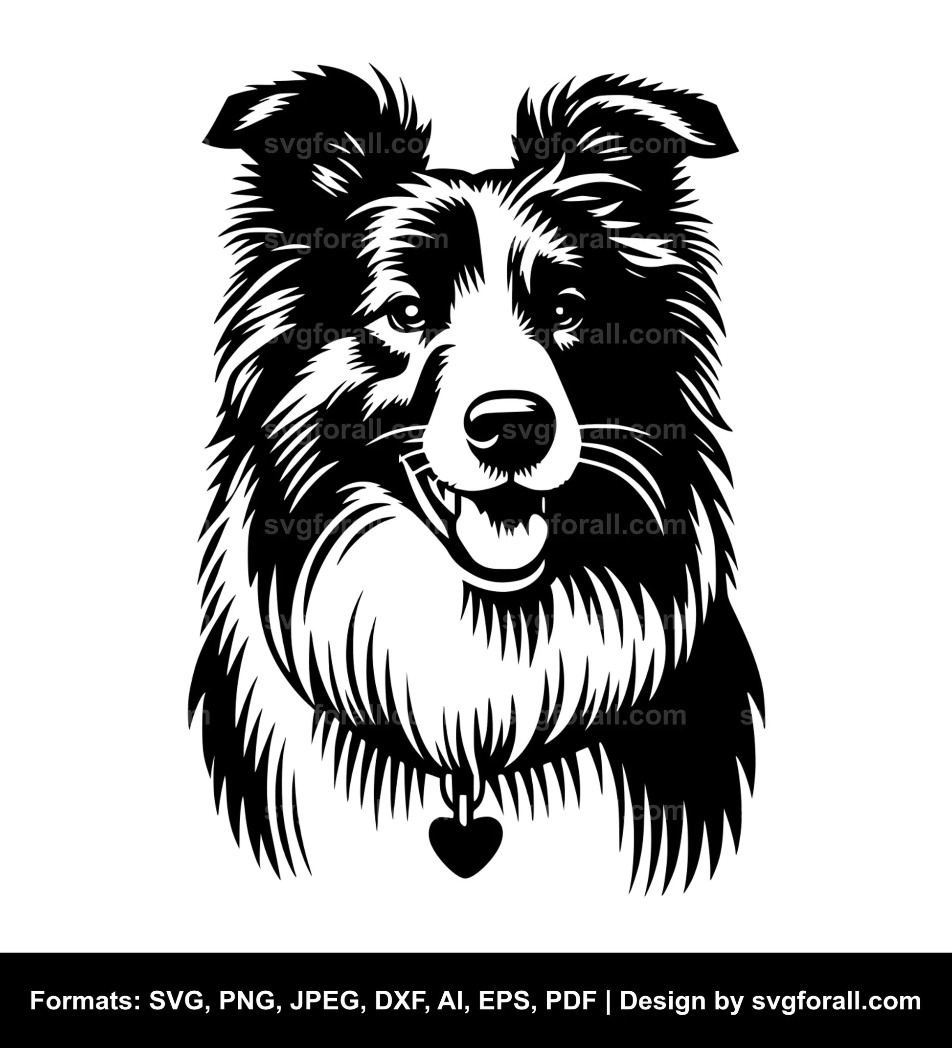 Border Collie Dog Black SVG