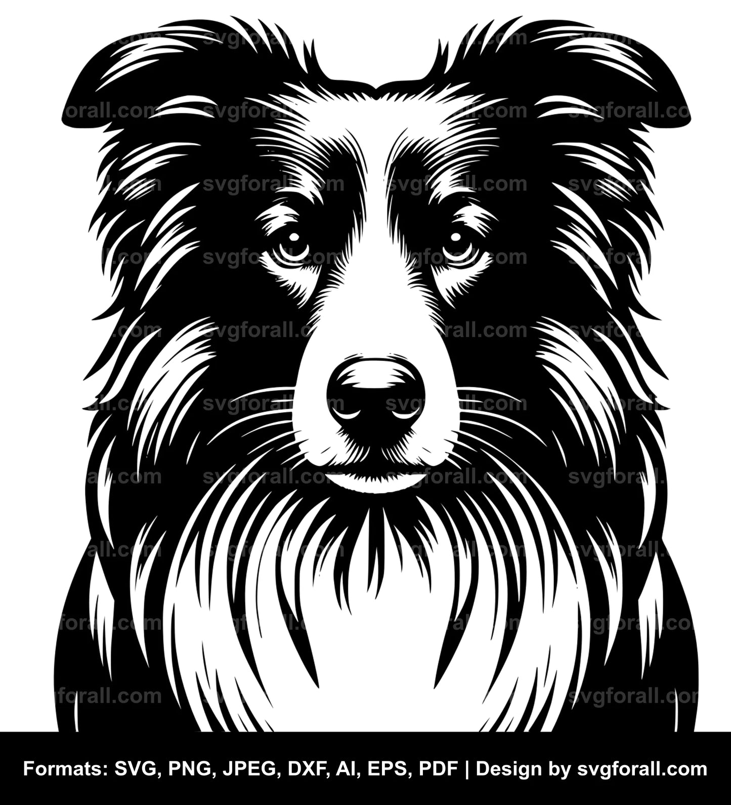 Border Collie Dog SVG