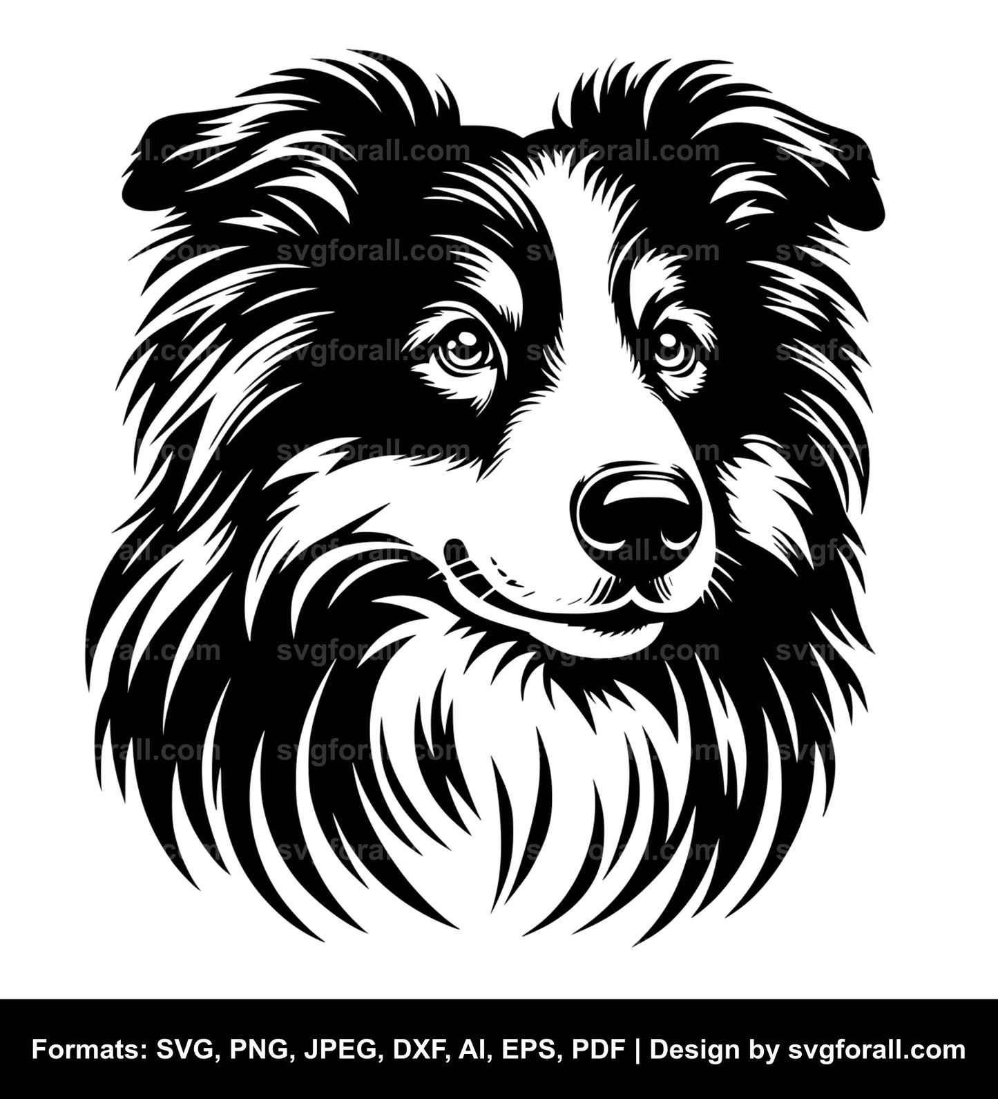 Border Collie Dog SVG PNG