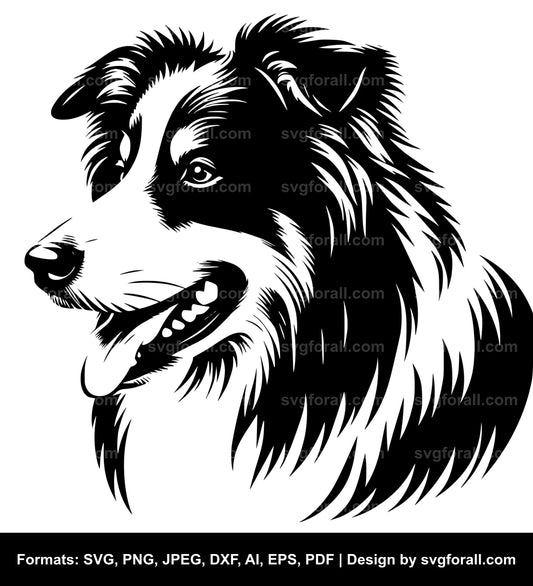 Border Collie Dog SVG Vector