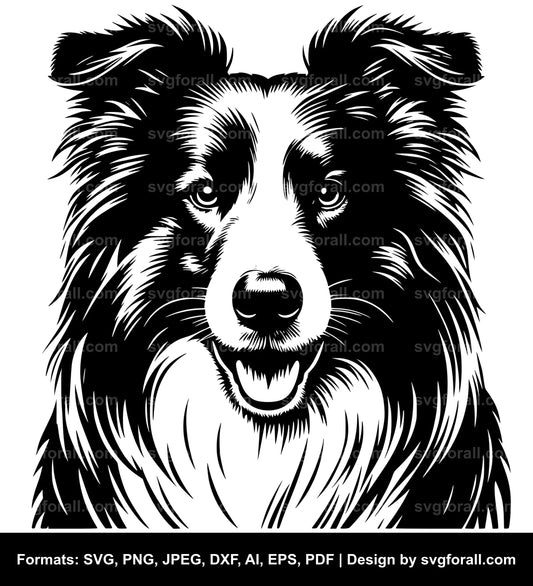 Border Collie Dog Vector SVG