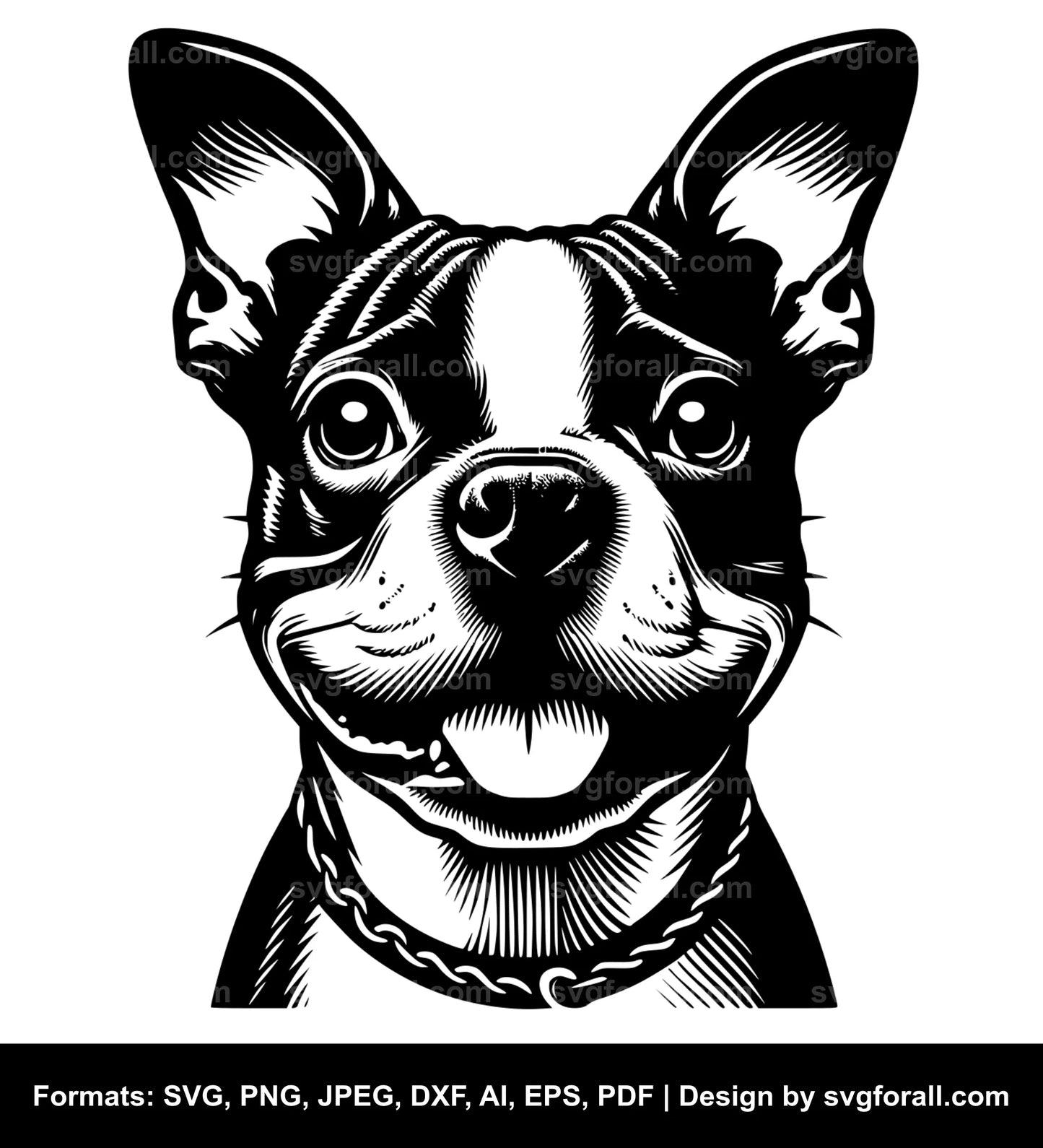 Boston Terrier Dog Black SVG