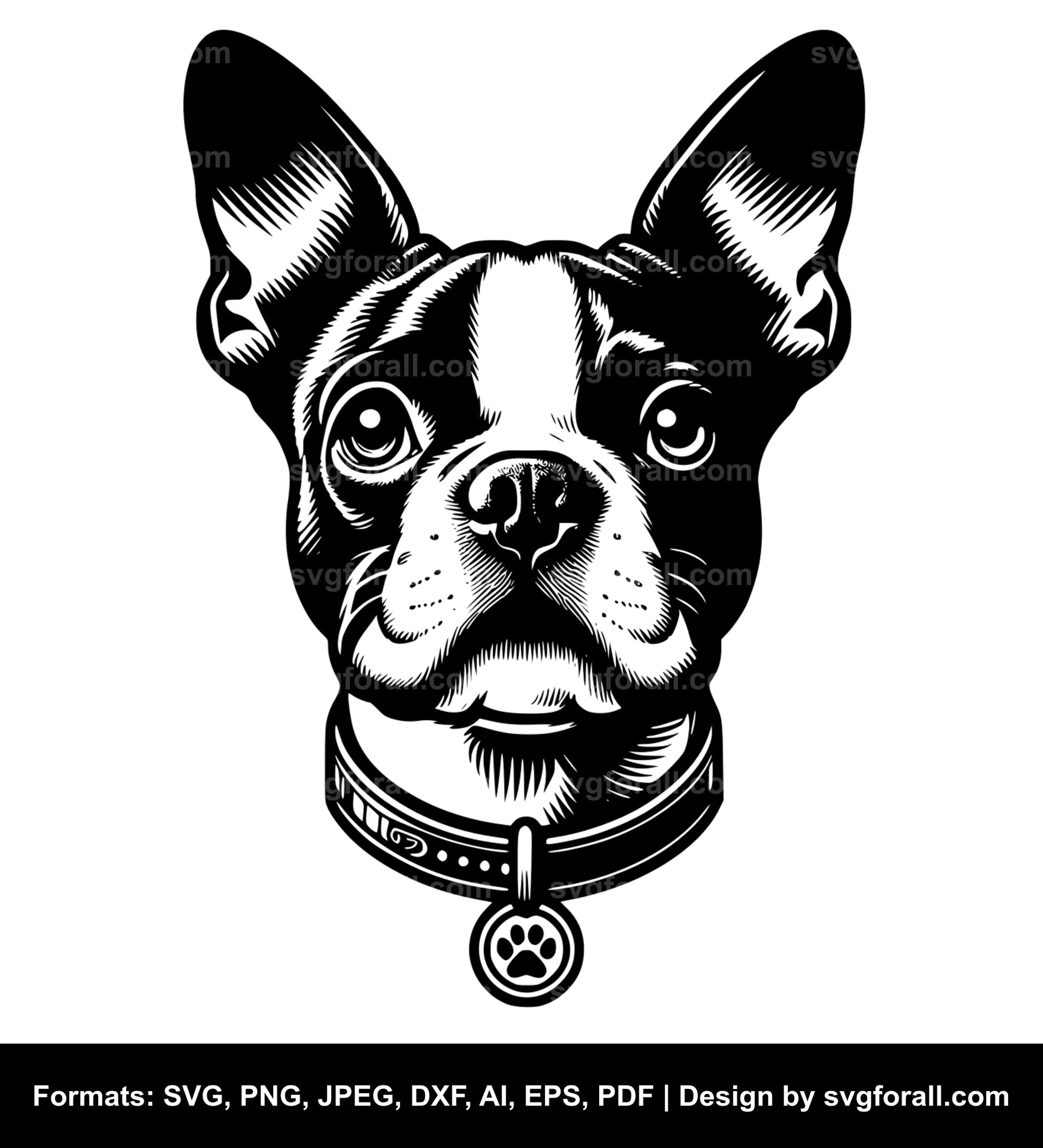 Boston Terrier Dog SVG