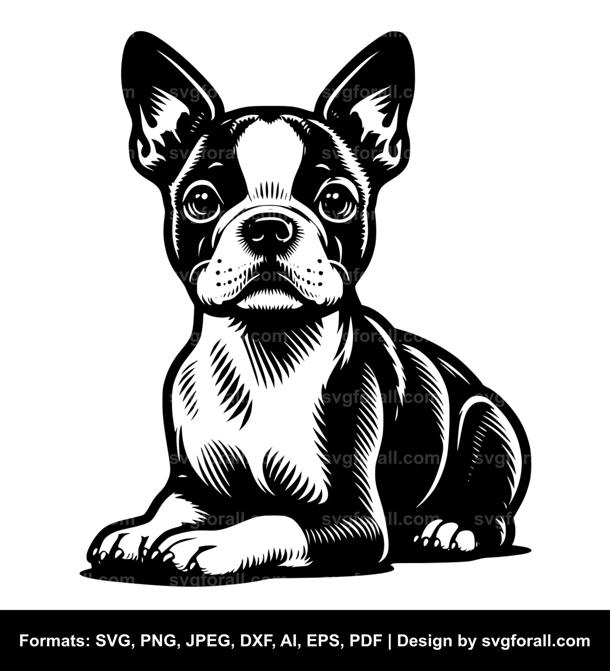 Boston Terrier Dog SVG File