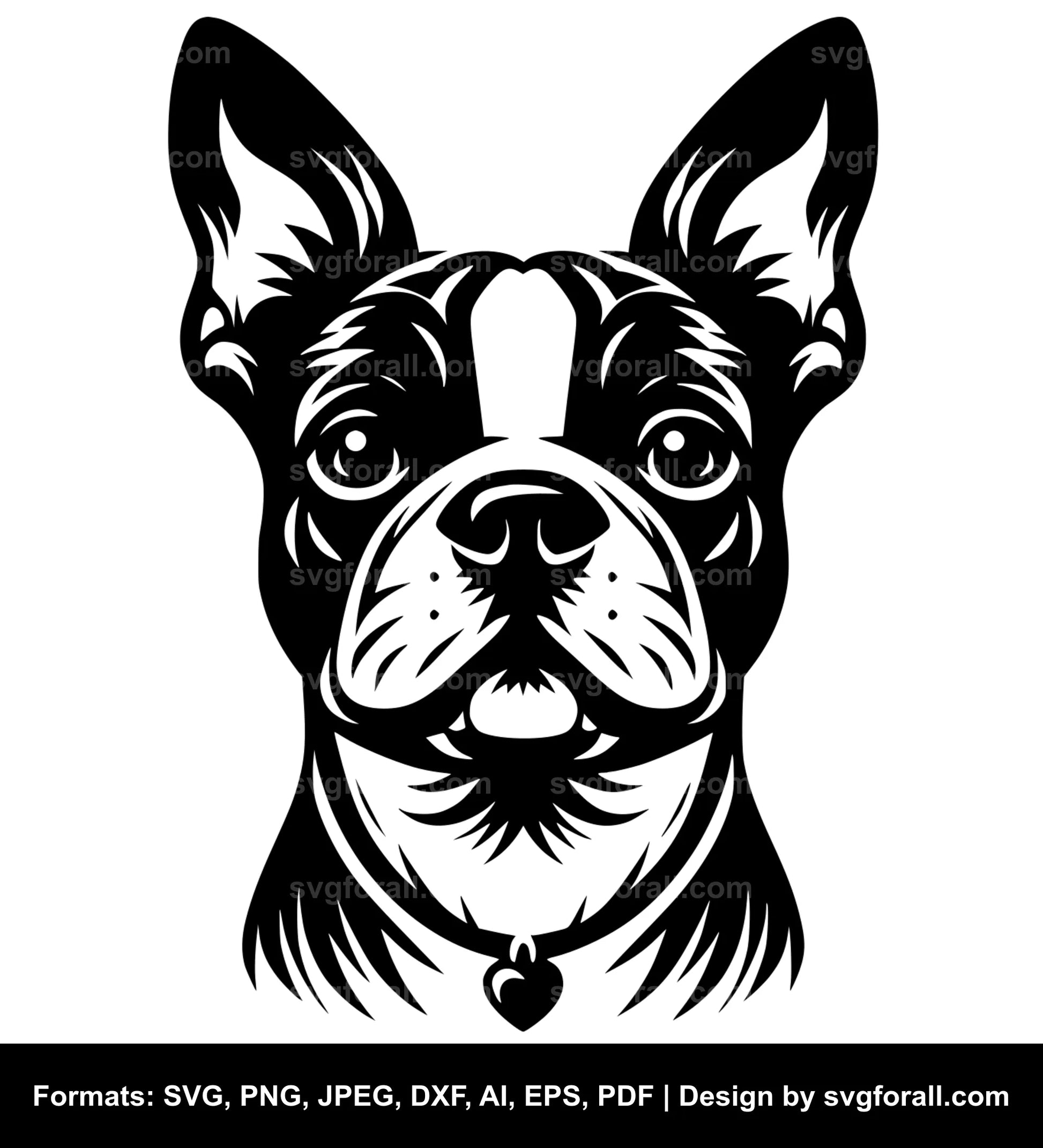 Boston Terrier Dog SVG PNG