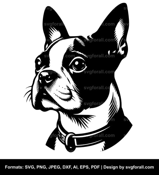 Boston Terrier Dog SVG Vector