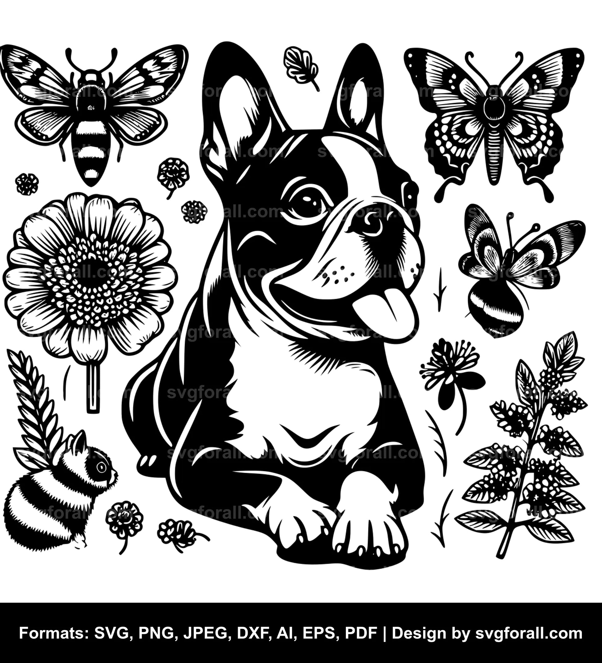 Boston Terrier Dog Vector SVG