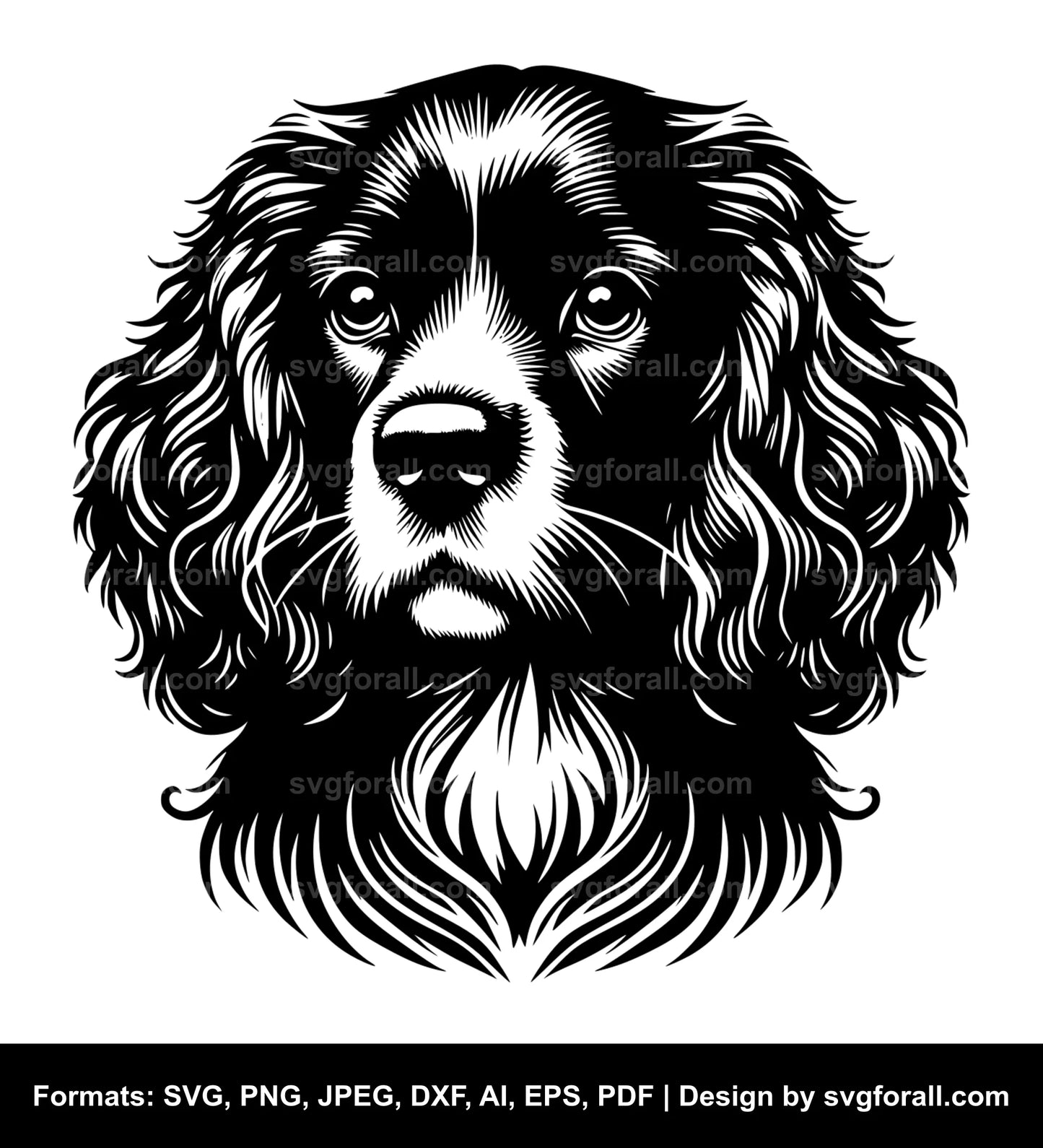 Boykin Spaniel Dog SVG Vector