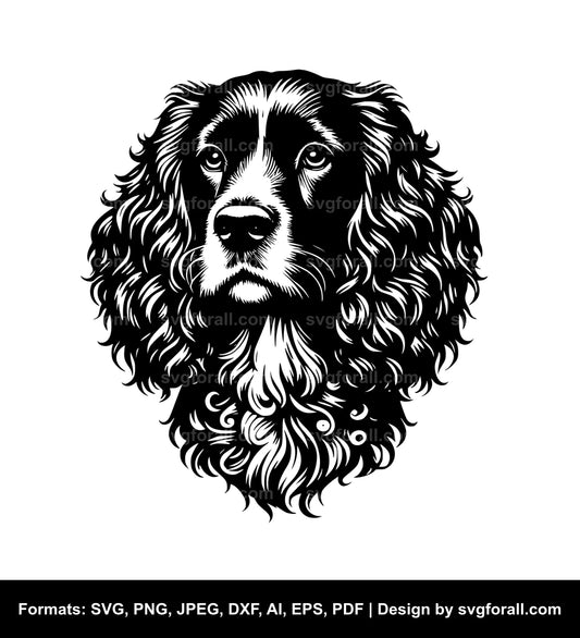 Boykin Spaniel Dog Vector SVG