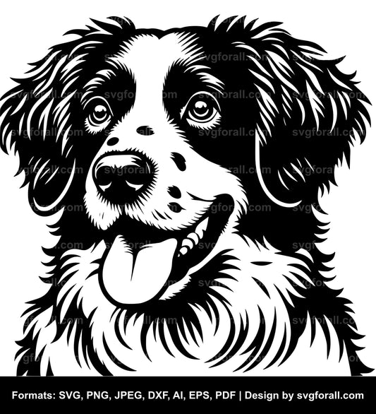 Brittany Dog Black SVG