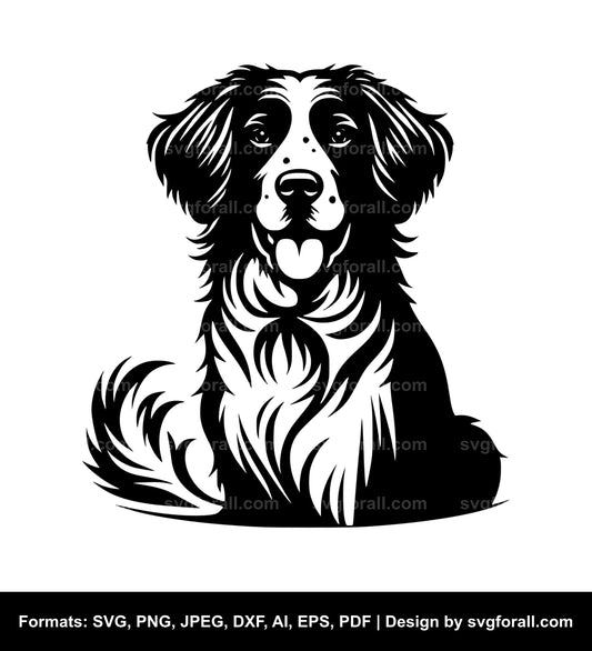 Brittany Dog SVG PNG