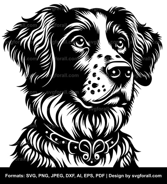 Brittany Dog Vector SVG