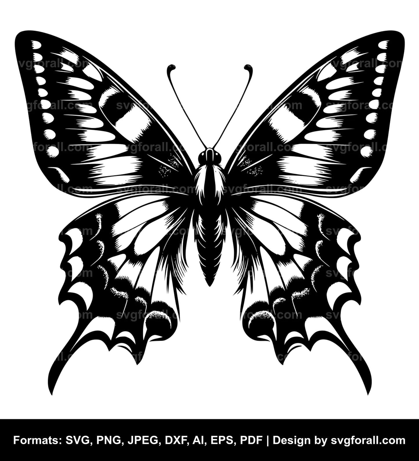 Butterfly SVG File