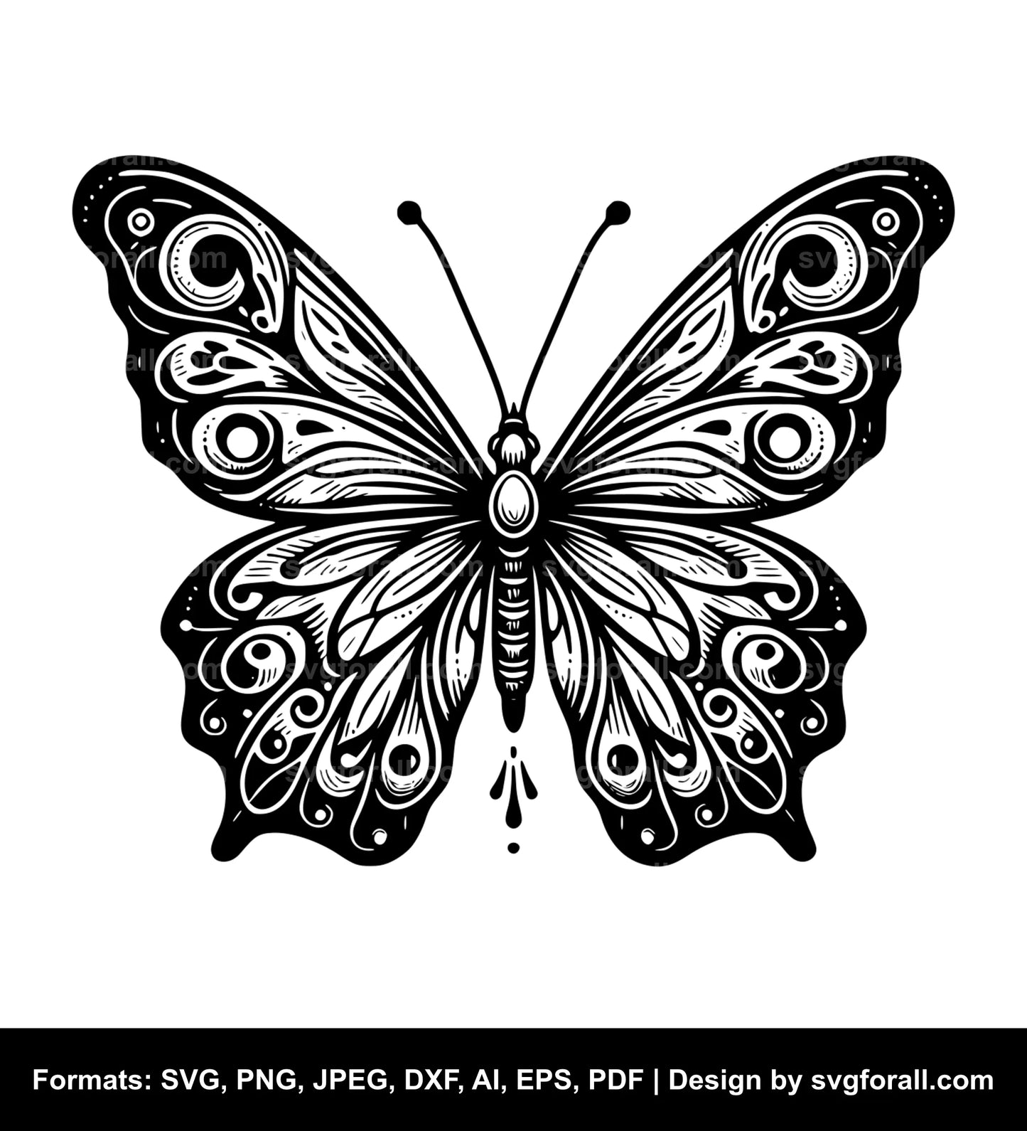 Butterfly SVG Vector