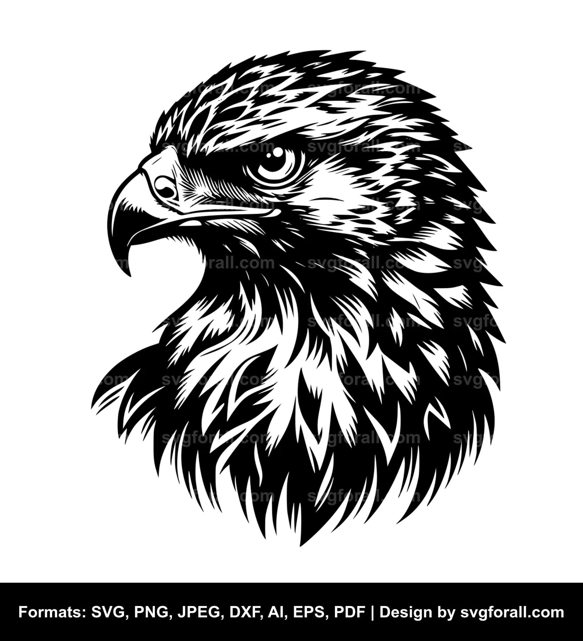 Buzzard SVG Clipart