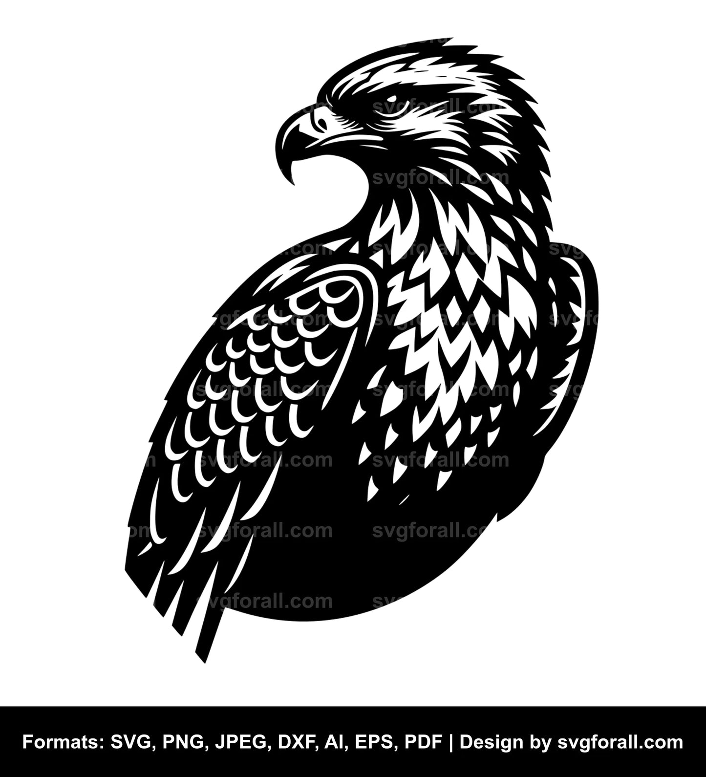 Buzzard Vector SVG