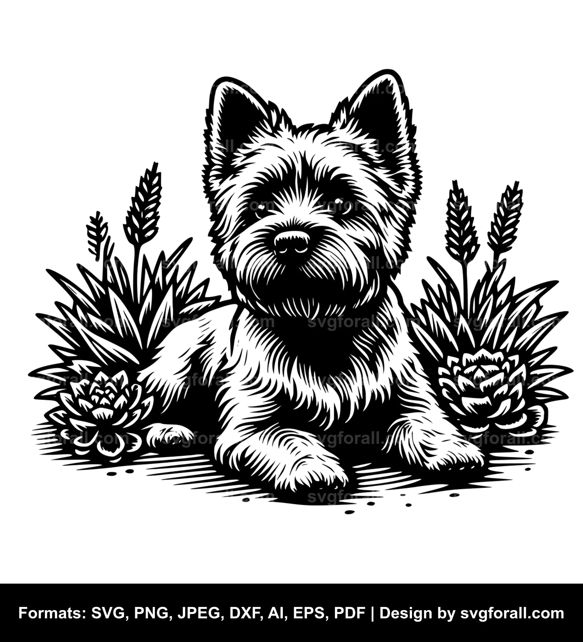 Cairn Terrier Dog SVG Design