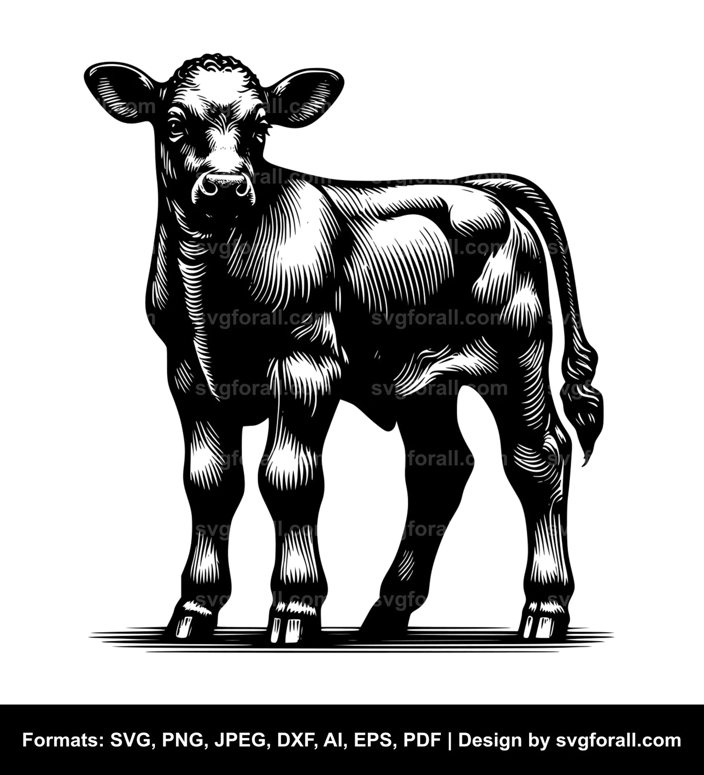 Calf Vector SVG