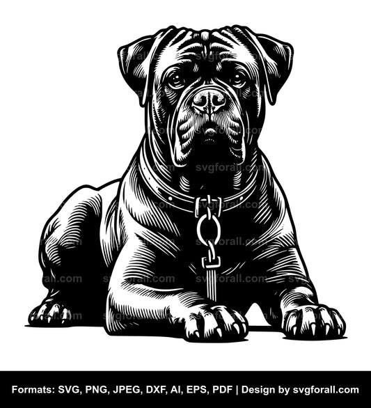 Cane Corso Dog Vector SVG