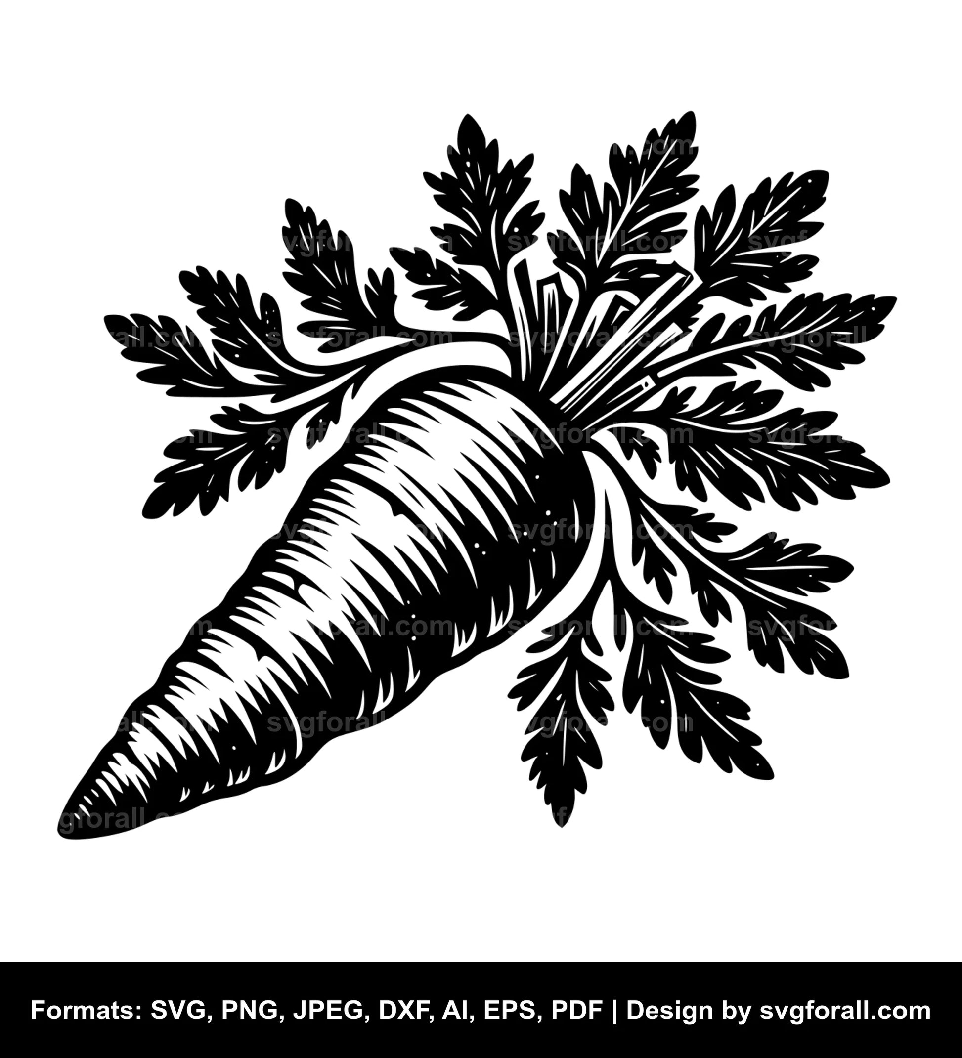 Carrot SVG Vector