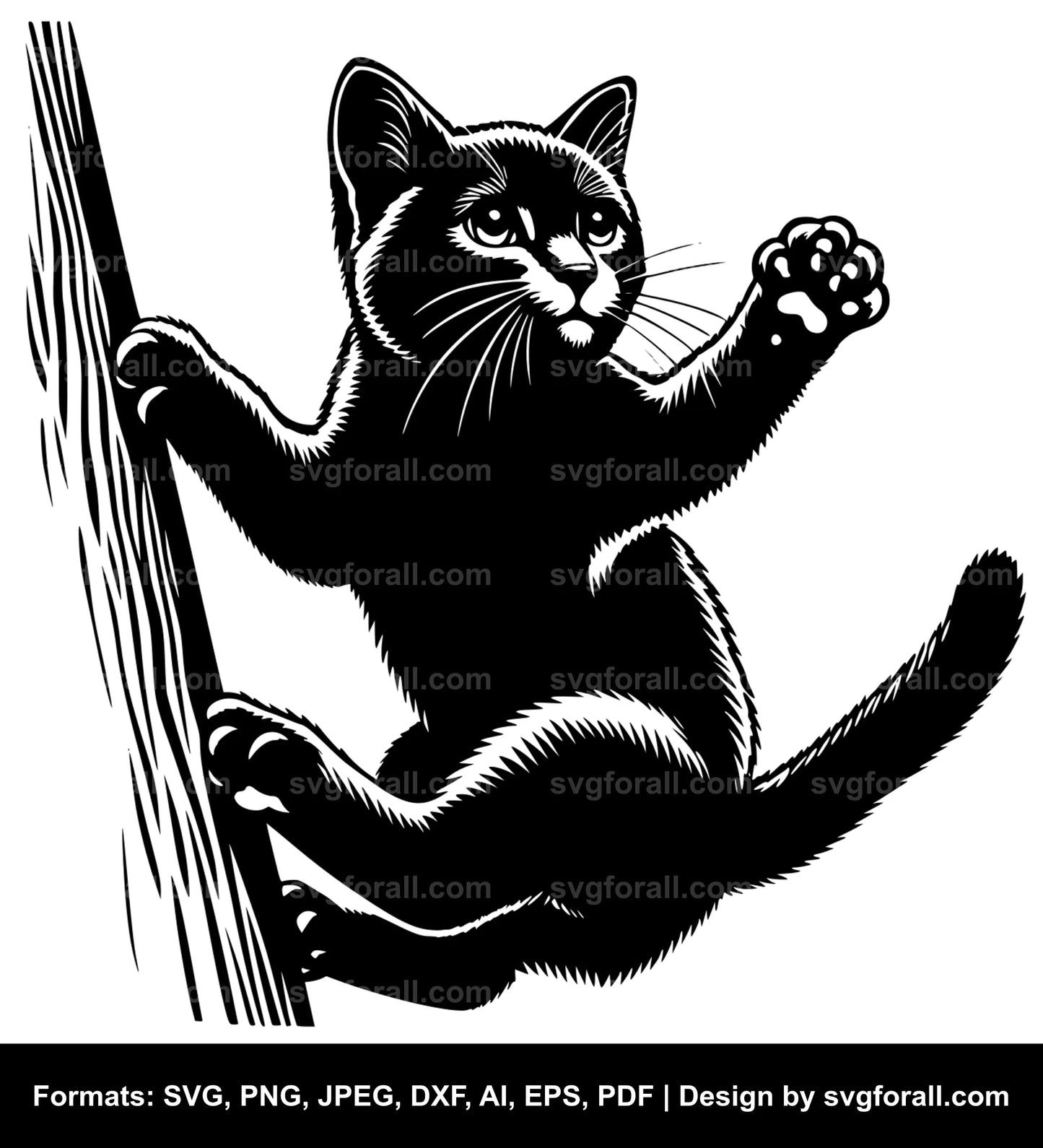 Cat Climbing Vector SVG