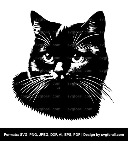 Cat Clipart SVG