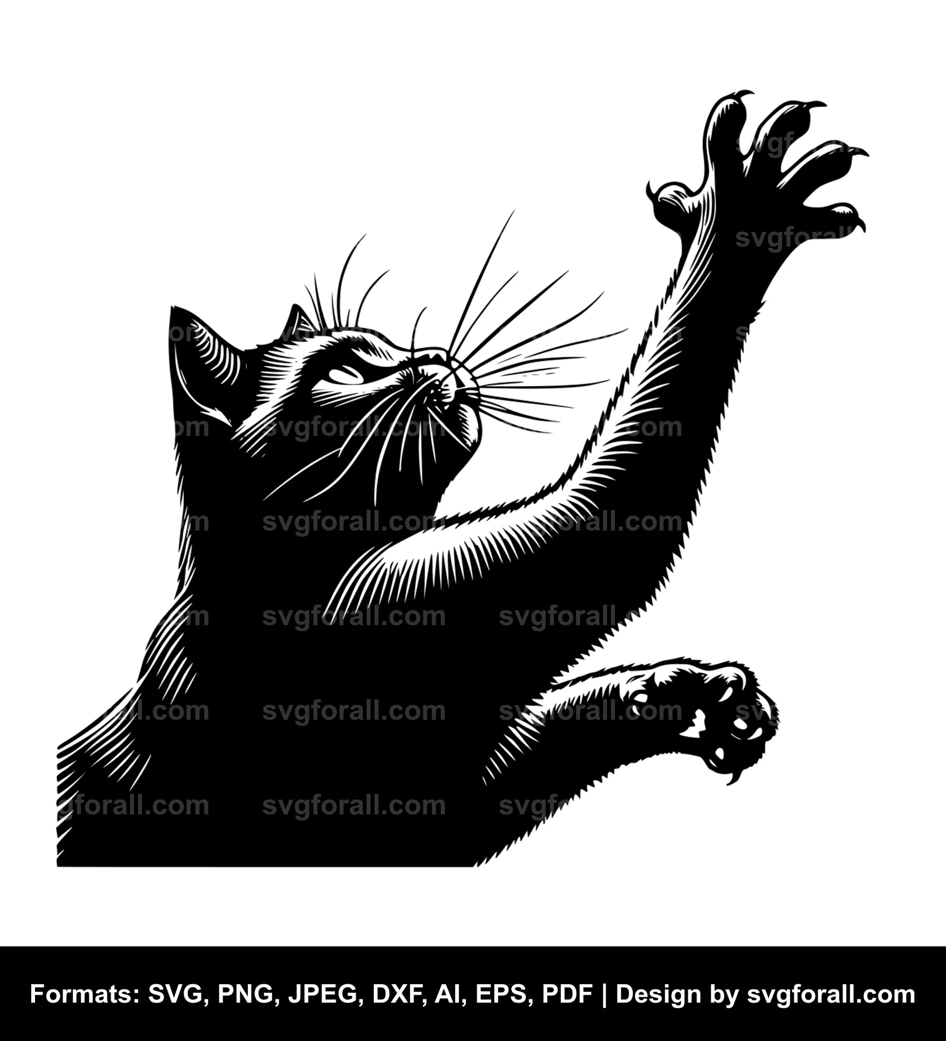 Cat High Resolution SVG Vector