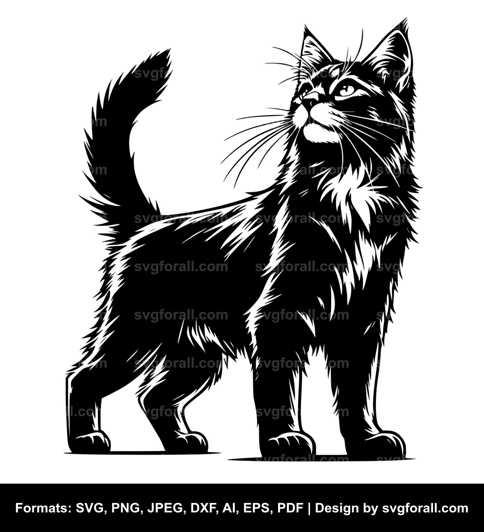 Cat SVG For Print On Demand