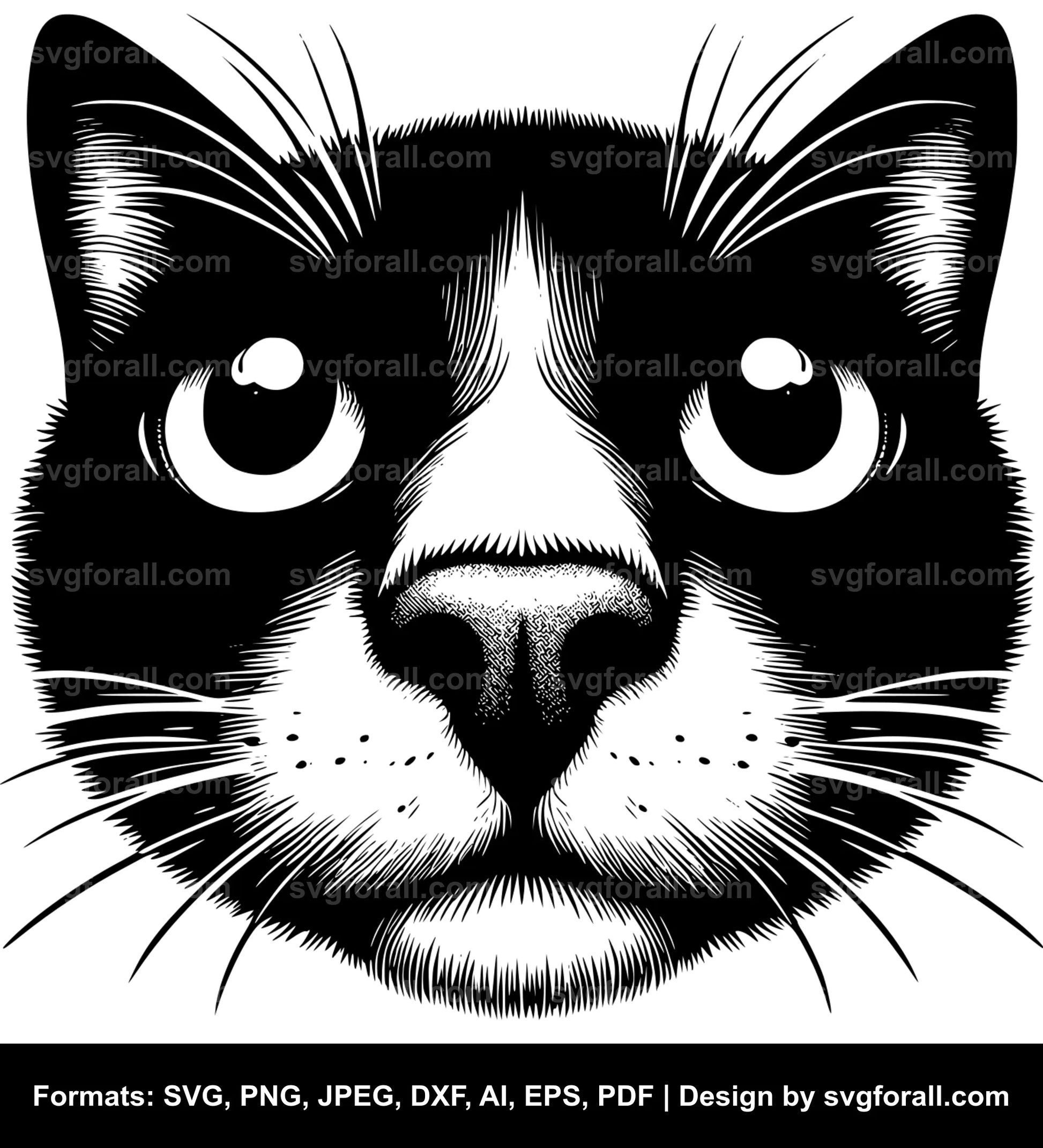 Cat SVG Vector Image