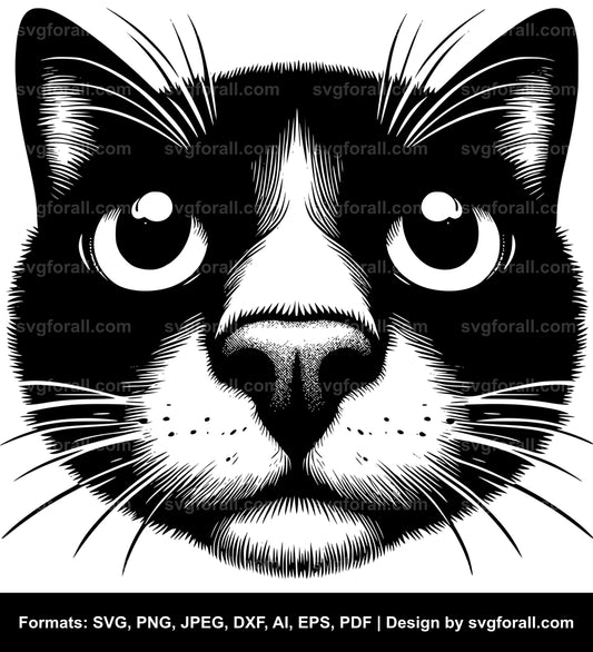 Cat SVG Vector Image