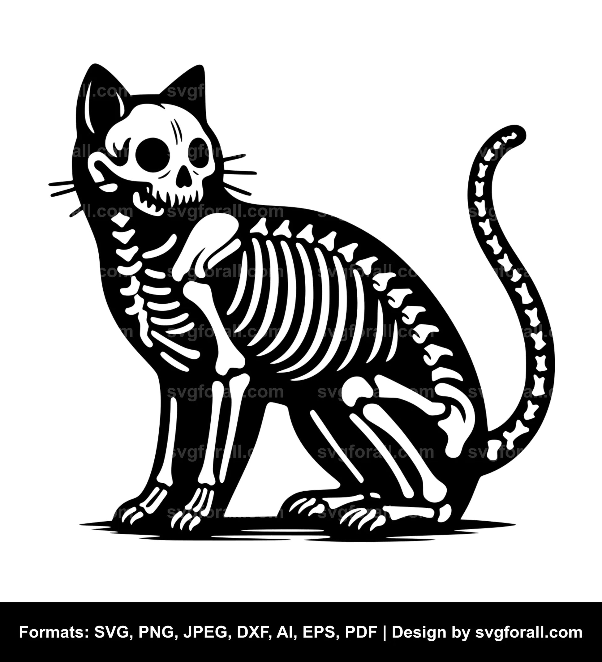 Cat Skeleton Clipart SVG