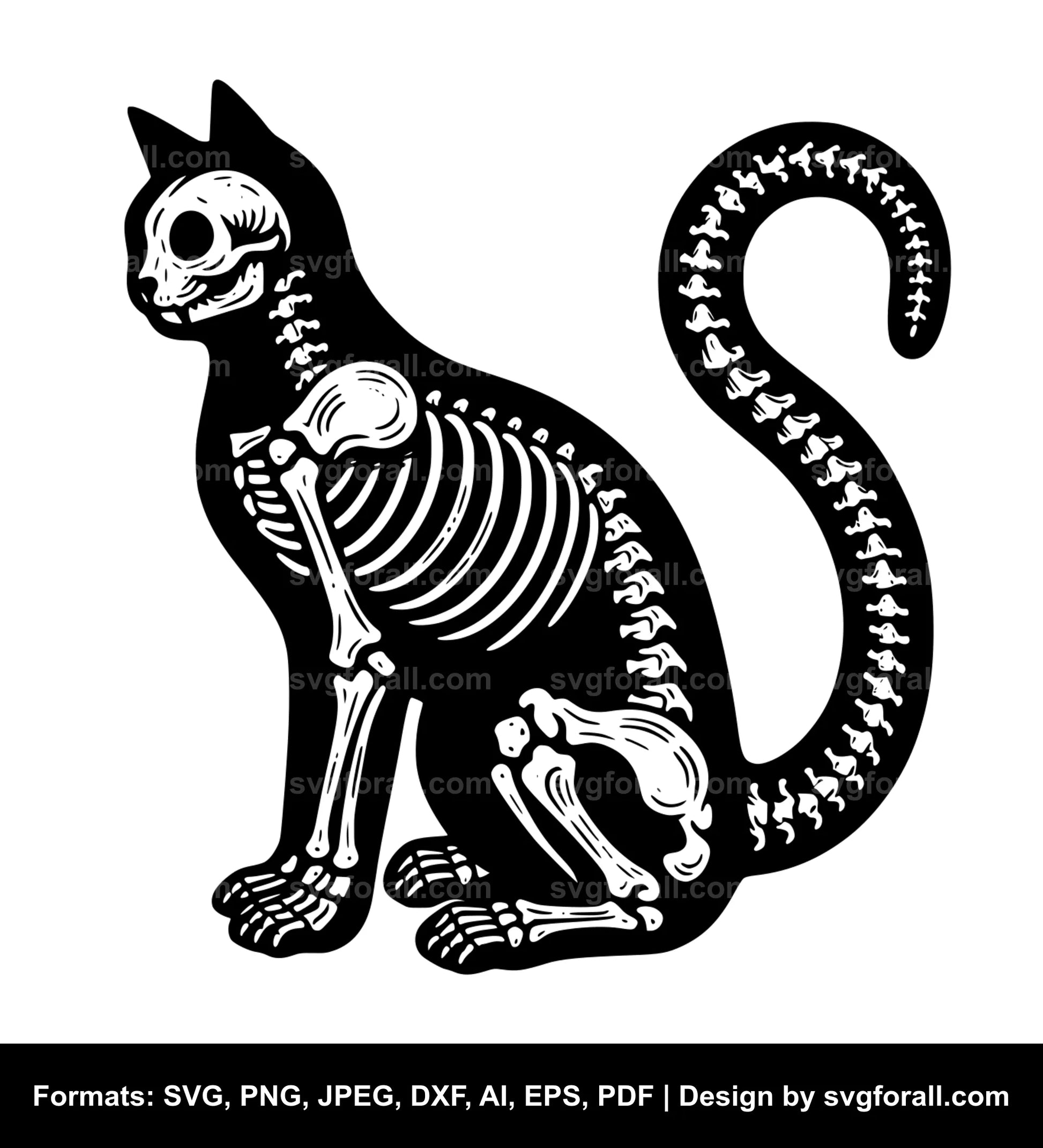 Cat Skeleton SVG PNG