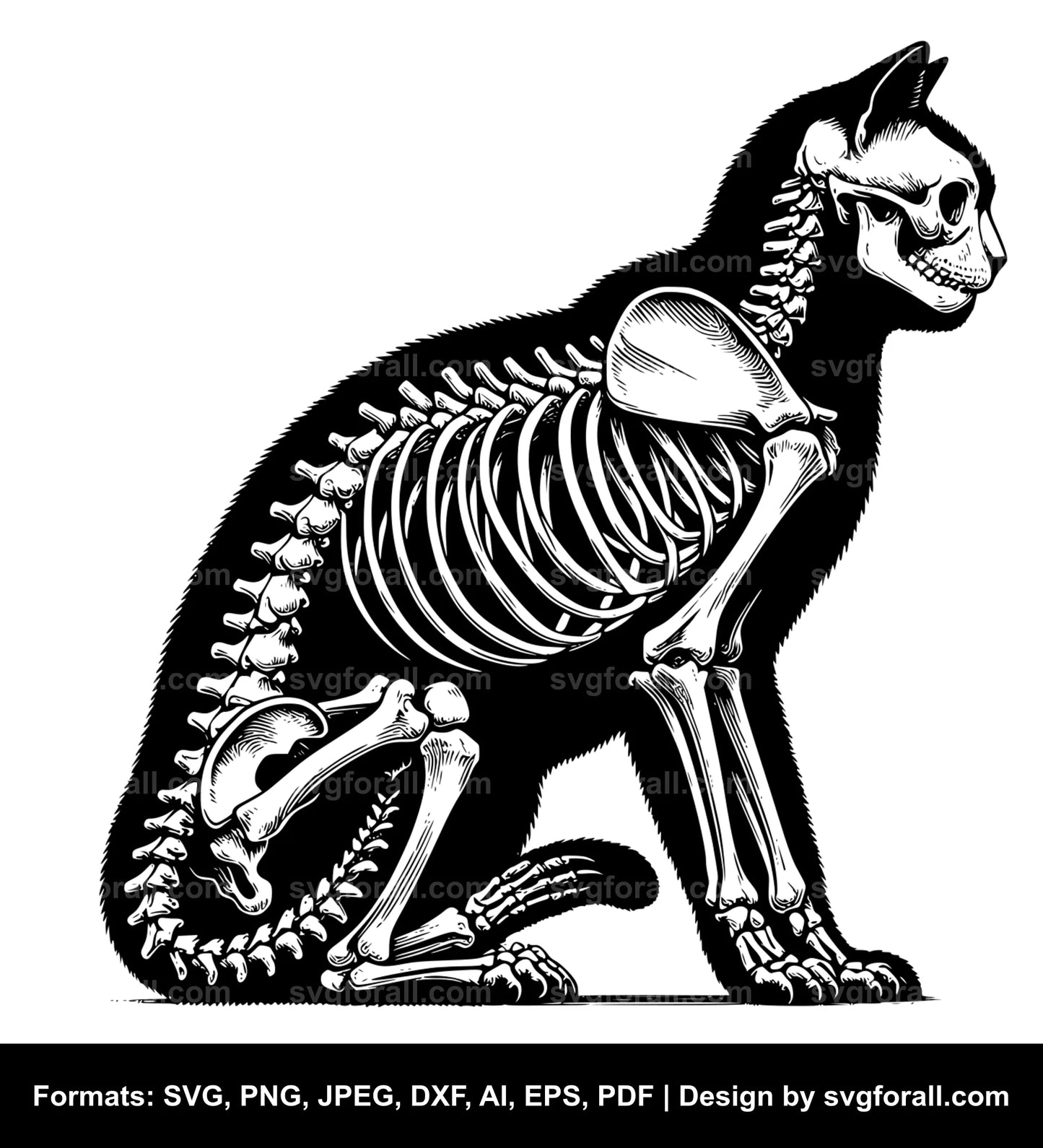 Cat Skeleton SVG Vector