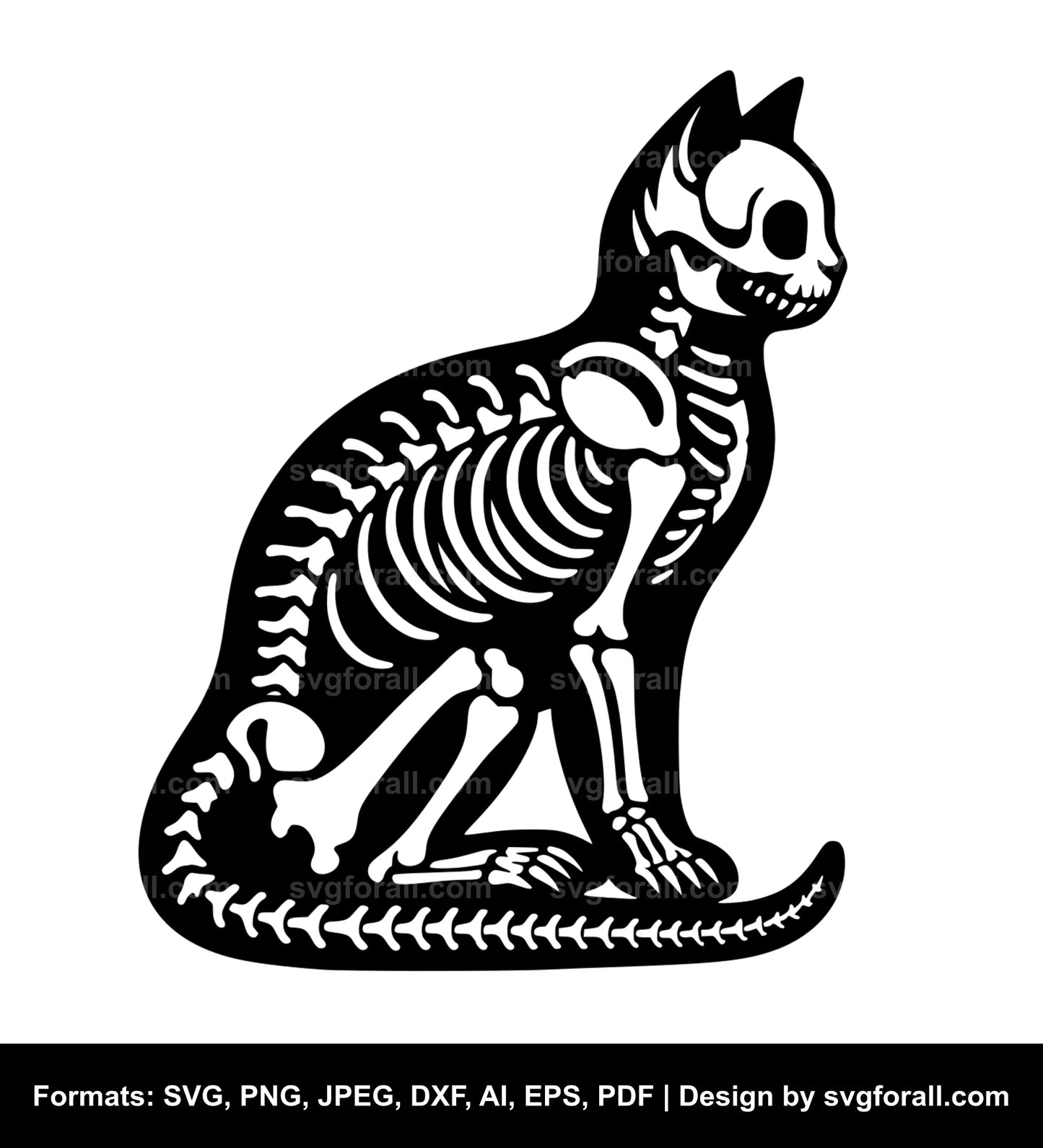 Cat Skeleton Vector SVG