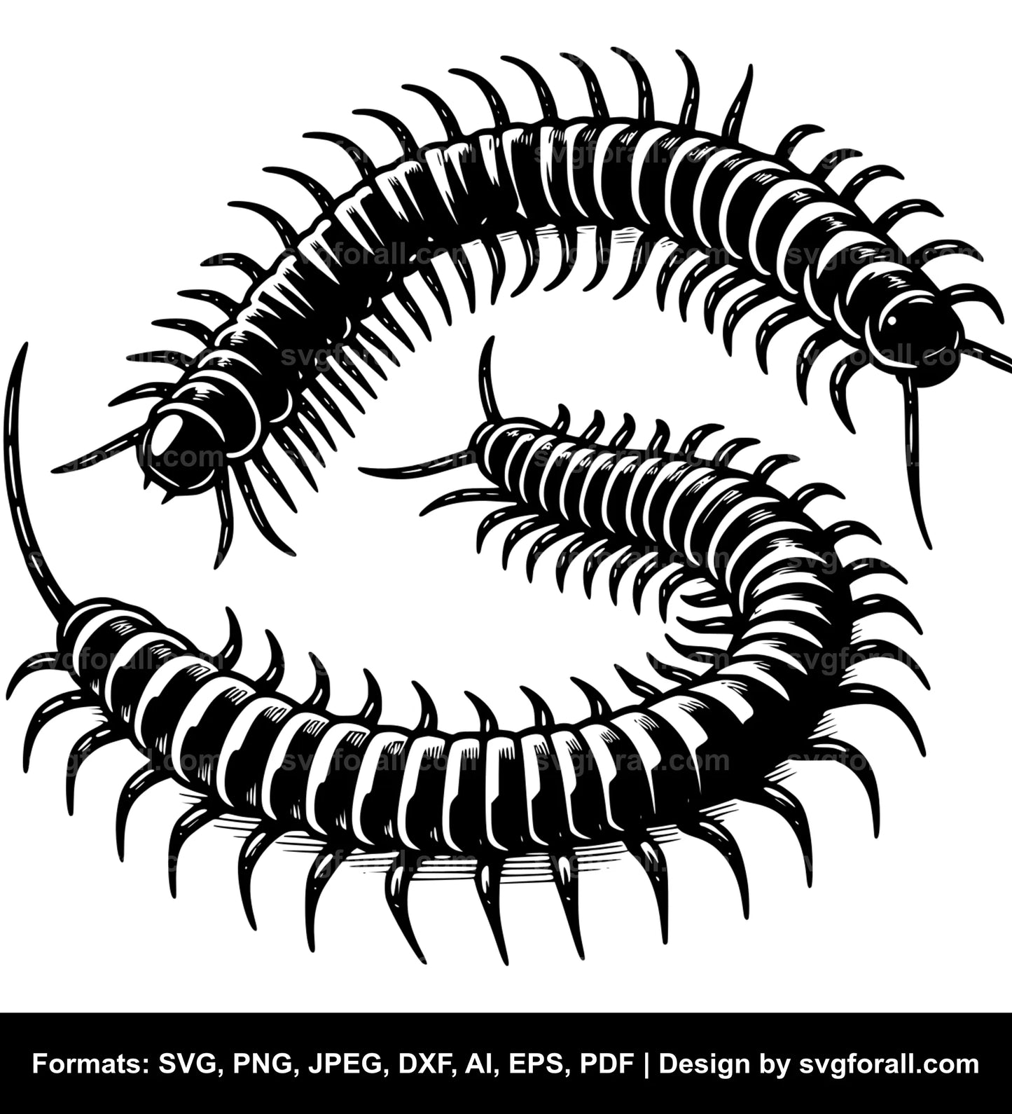 Centipede SVG File