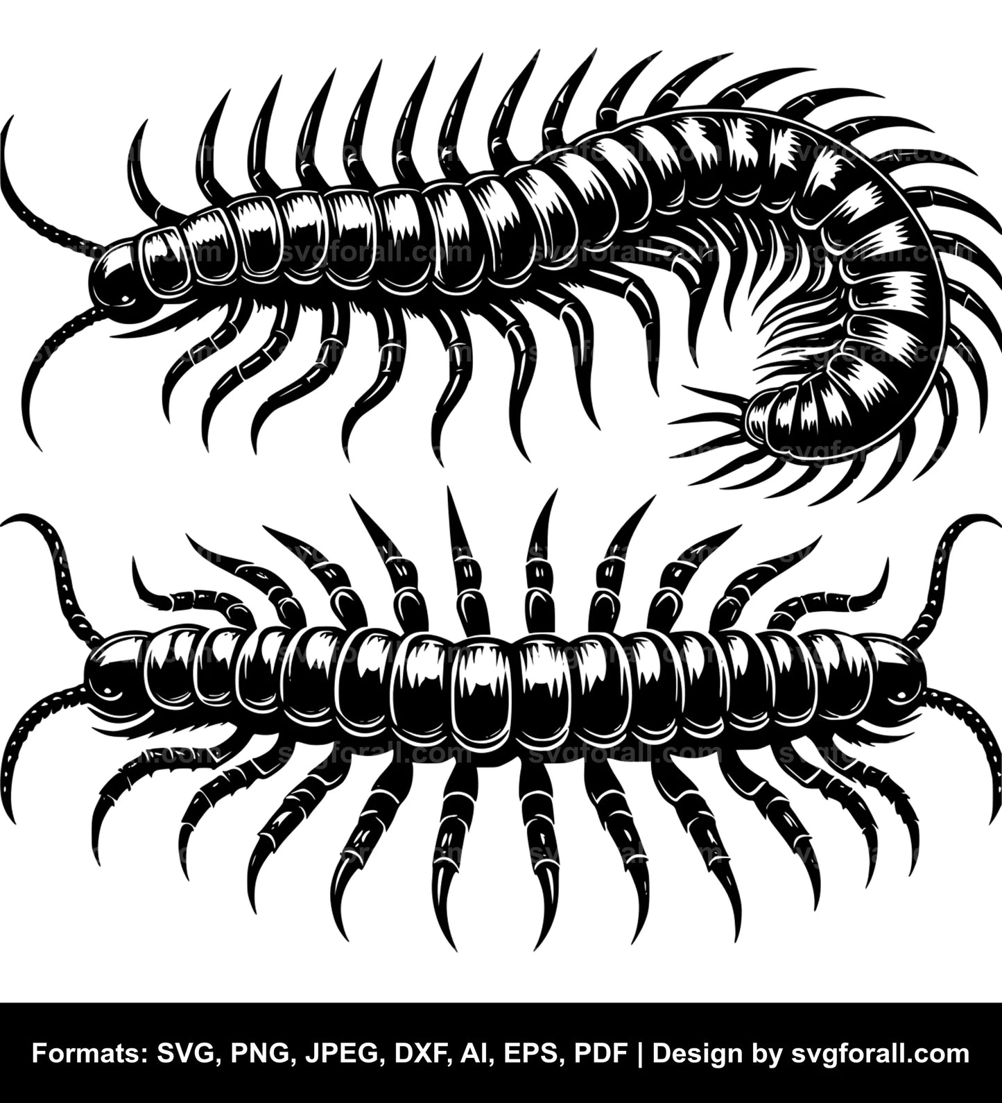 Centipede SVG Vector