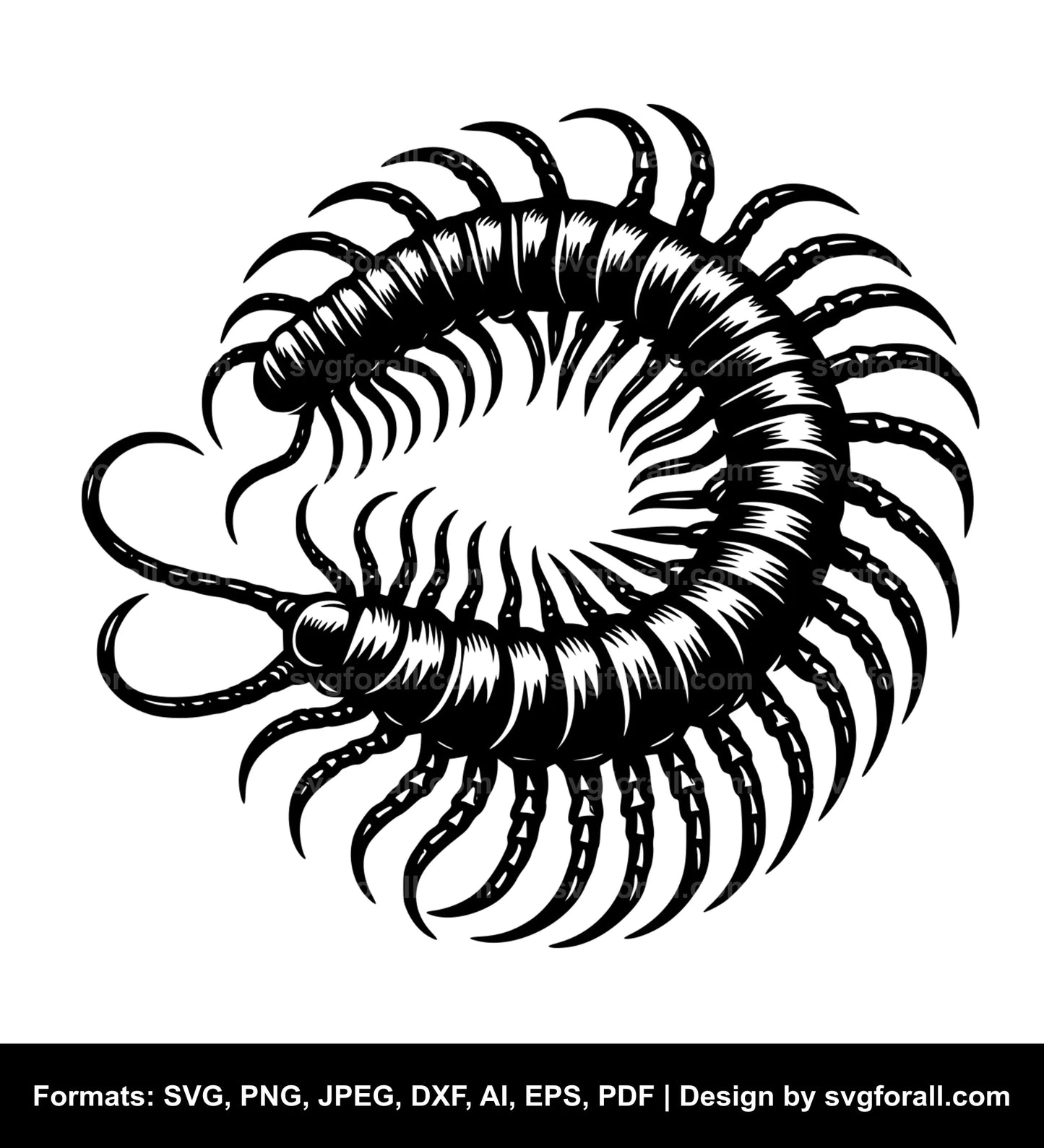 Centipede Vector SVG