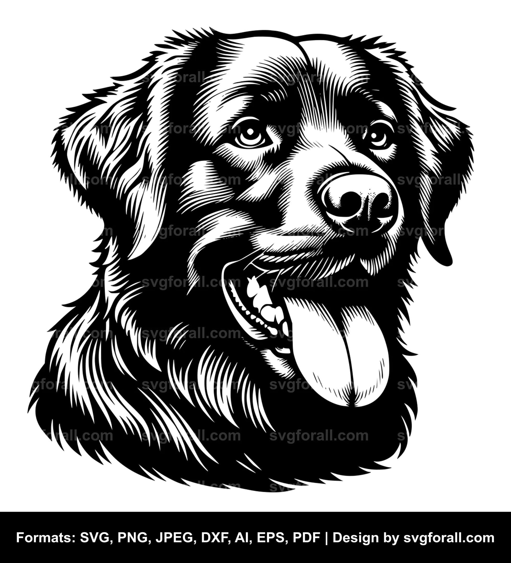 Chesapeake Bay Retriever Dog Black SVG