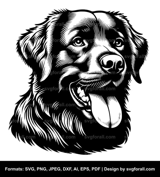 Chesapeake Bay Retriever Dog Black SVG