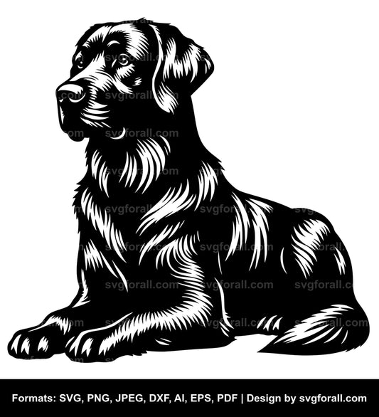 Chesapeake Bay Retriever Dog Cricut SVG